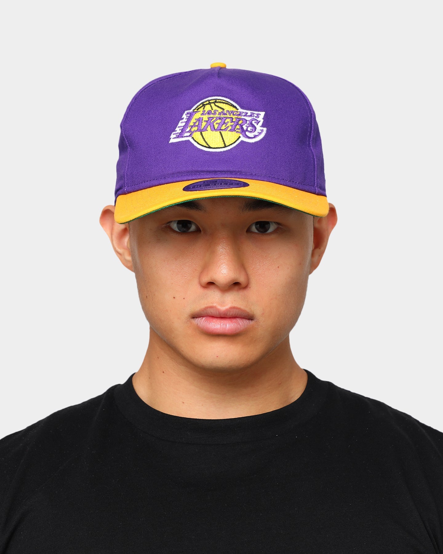 New Era Los Angeles Lakers Old Golfer Snapback Purple/Yellow